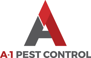 Pest Control Company Essex